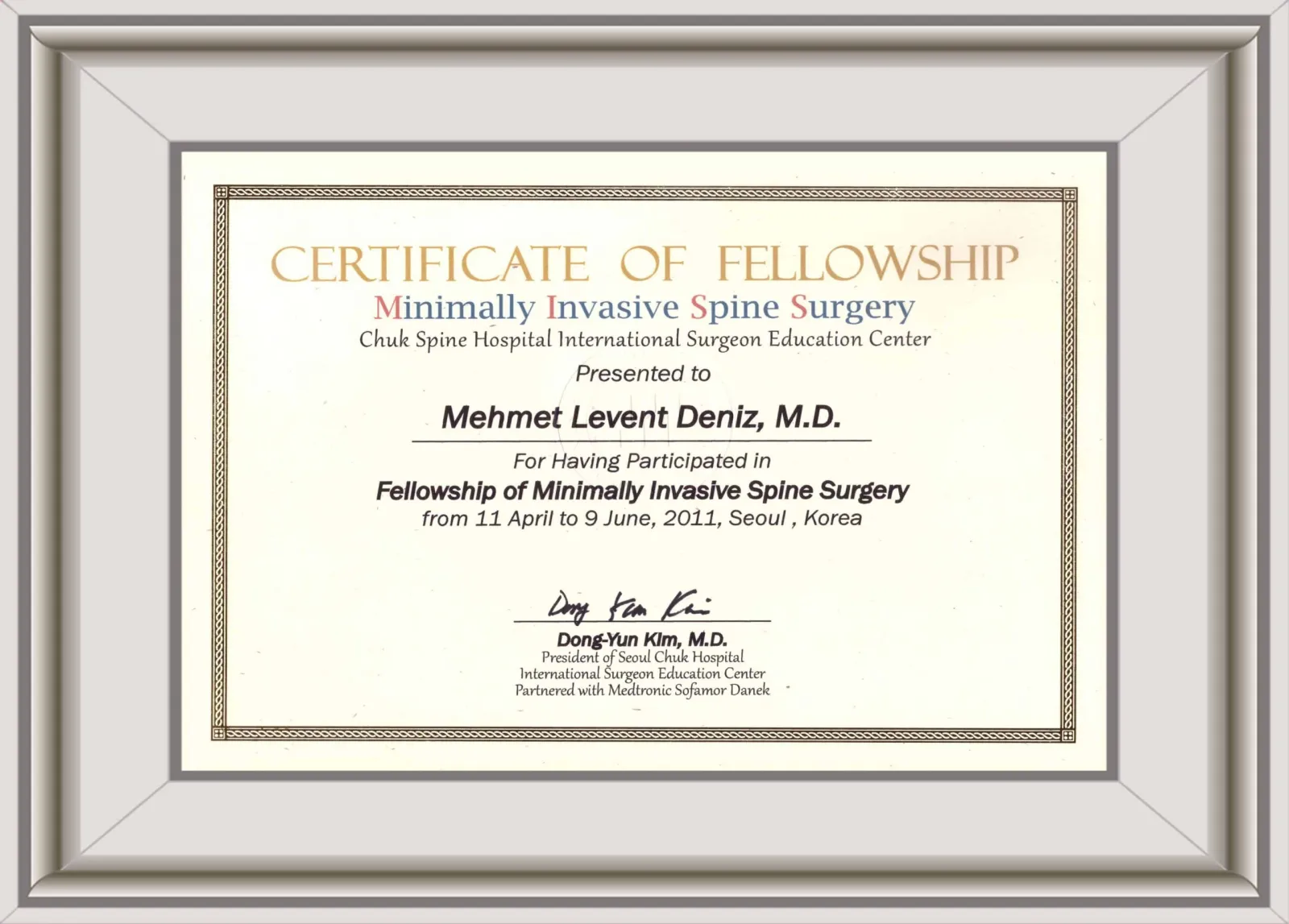 Certificate of Fellowship — Op. Dr. M. Levent Deniz